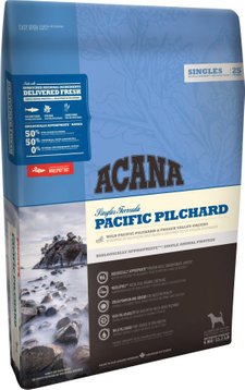 Pacific Pilchard
