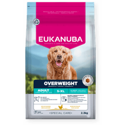Dog Special Care Overweight