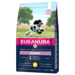Dog Puppy Medium Breed Chicken
