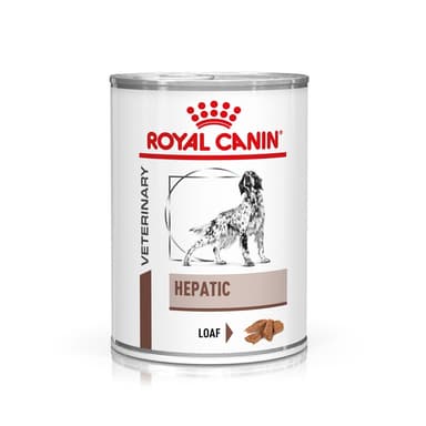 Royal Canin Veterinary Dog Gastrointestinal Hepatic Loaf