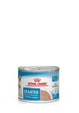 Royal Canin Dog Starter Mousse wet