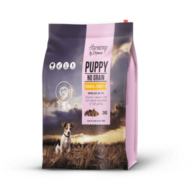 Harmony Puppy