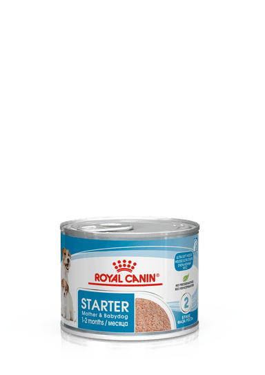 Royal Canin Dog Starter Mousse wet