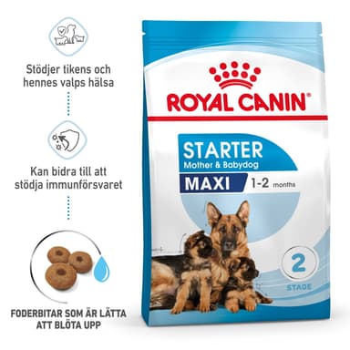 Royal Canin Starter Mother & Babydog Maxi